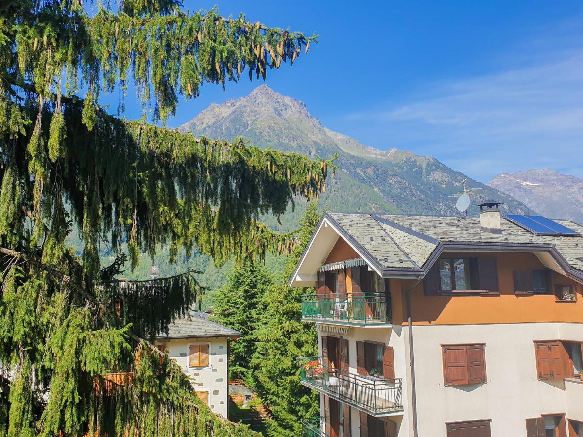 Hotel Fior Di Monte Caspoggio Dış mekan fotoğraf